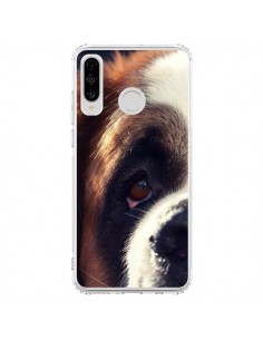 Coque Huawei P30 Lite Saint Bernard Chien Dog - R Delean