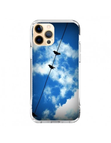 Coque iPhone 12 Pro Max Oiseau Birds - R Delean