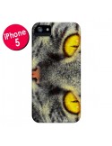 Coque iPhone 5/5S et SE Chat Gato Loco - Maximilian San