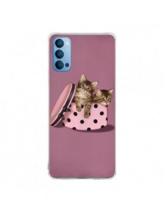 Coque Oppo Reno4 Pro 5G Chaton Chat Kitten Boite Pois -...