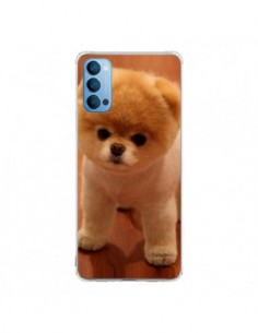 Coque Oppo Reno4 Pro 5G Boo Le Chien - Nico