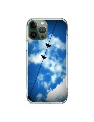 Coque iPhone 13 Pro Max Oiseau Birds - R Delean
