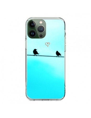Coque iPhone 13 Pro Max Oiseaux Birds Amour Love - R Delean