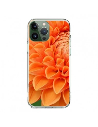 Coque iPhone 13 Pro Max Fleurs oranges flower - R Delean