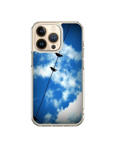 Coque iPhone 13 Pro Oiseau Birds - R Delean