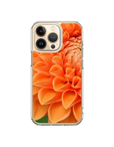 Coque iPhone 13 Pro Fleurs oranges flower - R Delean