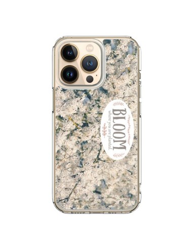 Cover iPhone 13 Pro Bloom Fiori Ciliegio - R Delean