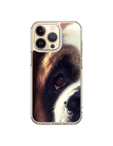 Coque iPhone 13 Pro Saint Bernard Chien Dog - R Delean