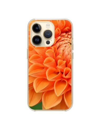 Coque iPhone 14 Pro Fleurs oranges flower - R Delean