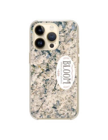 Cover iPhone 14 Pro Bloom Fiori Ciliegio - R Delean