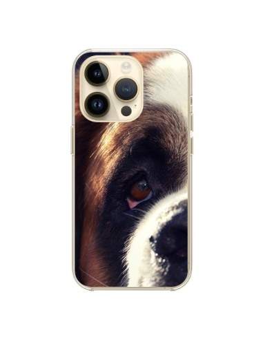 Coque iPhone 14 Pro Saint Bernard Chien Dog - R Delean
