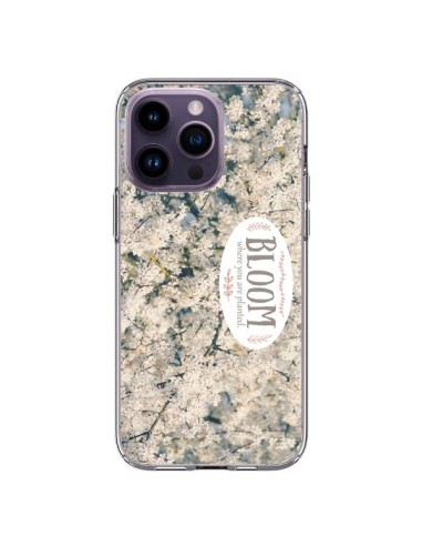 Cover iPhone 14 Pro Max Bloom Fiori Ciliegio - R Delean