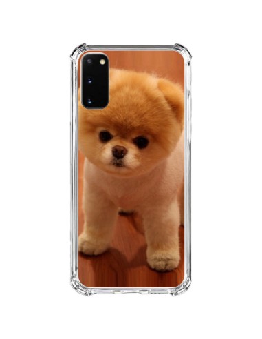 Coque Samsung Galaxy S20 FE Boo Le Chien - Nico