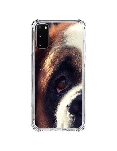 Coque Samsung Galaxy S20 FE Saint Bernard Chien Dog - R Delean