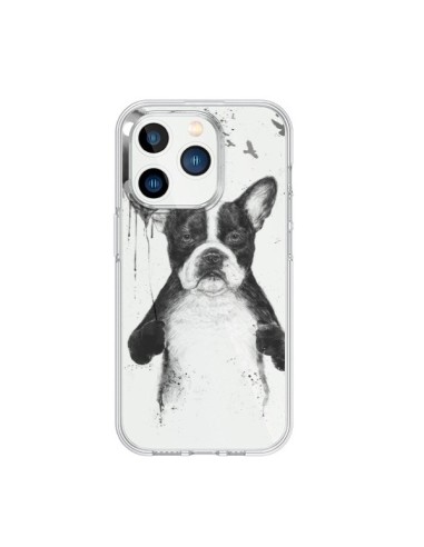 Cover iPhone 15 Pro Amore Bulldog Cane Trasparente - Balazs Solti