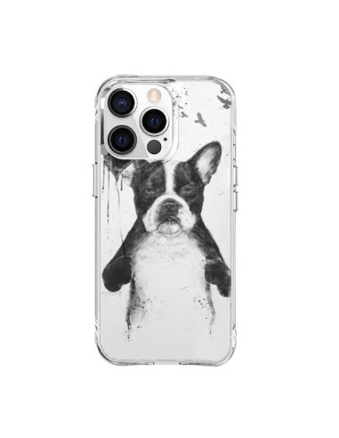 Cover iPhone 15 Pro Max Amore Bulldog Cane Trasparente - Balazs Solti