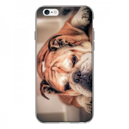 Coque Chien Bulldog Dog pour iPhone 6 - Laetitia