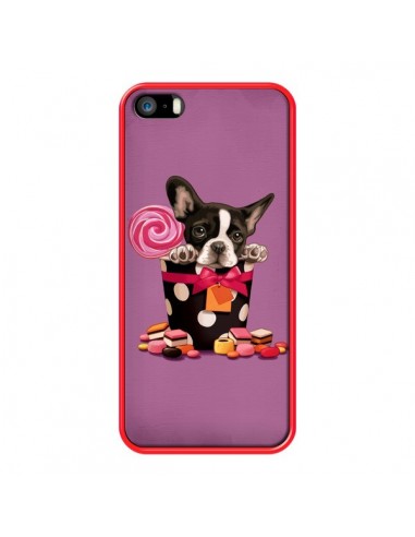 Coque Chien Dog Boite Noeud Papillon Pois Bonbon pour iPhone 5 et 5S - Maryline Cazenave