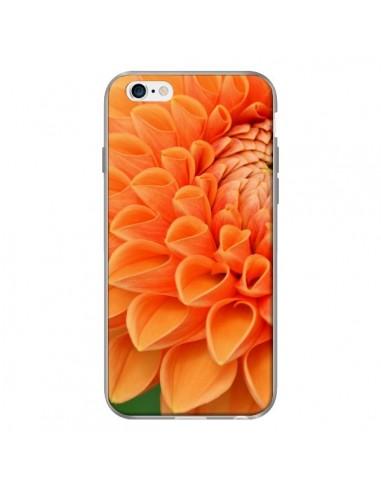 Coque Fleurs oranges flower pour iPhone 6 Plus - R Delean