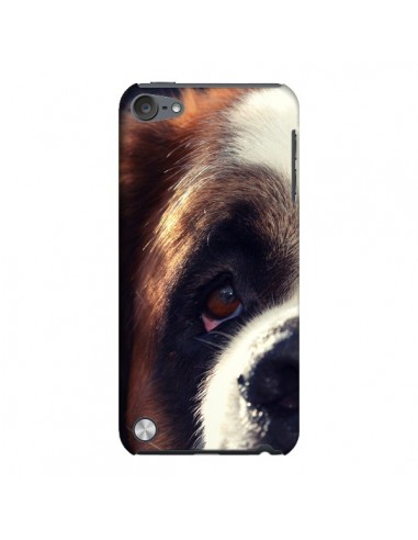 Coque Saint Bernard Chien Dog pour iPod Touch 5 - R Delean