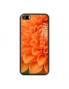 Coque Fleurs oranges flower pour iPhone 5 et 5S - R Delean