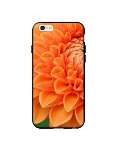 Coque Fleurs oranges flower pour iPhone 6 - R Delean