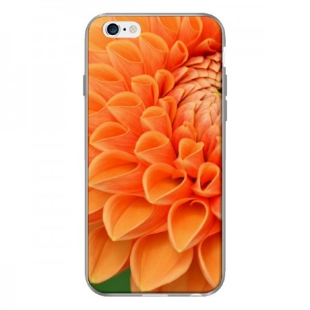 Coque Fleurs oranges flower pour iPhone 6 - R Delean