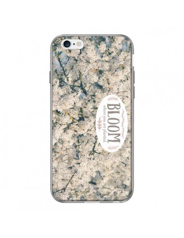 Coque Bloom Fleur Cerisier pour iPhone 6 - R Delean
