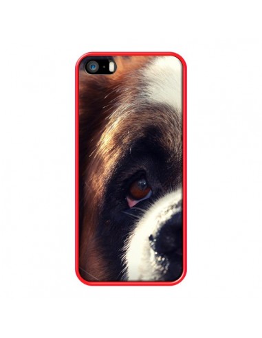 Coque Saint Bernard Chien Dog pour iPhone 5 et 5S - R Delean