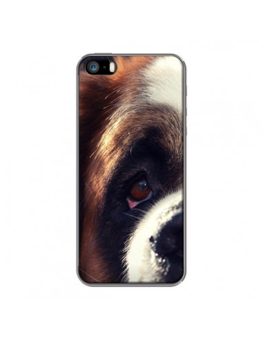 Coque Saint Bernard Chien Dog pour iPhone 5 et 5S - R Delean