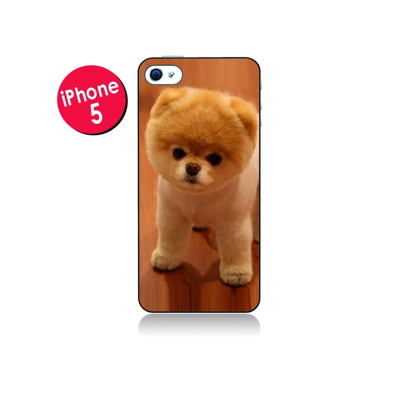 Coque Boo Le Chien pour iPhone 5