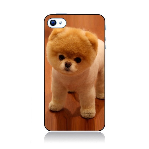 coque iphone 4 chien