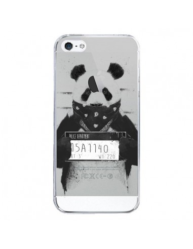 Coque iPhone 5/5S et SE Bad Panda Transparente - Balazs Solti
