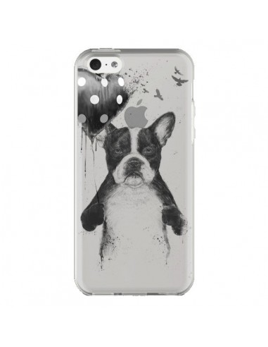 Coque iPhone 5C Love Bulldog Dog Chien Transparente - Balazs Solti