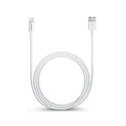 Cable USB Lightning 1m pour iPhone 6/6S, 6 Plus/6S Plus, 5/5S, 5C, iPad Mini, iPad 4, iPad Air, iPod Nano 2
