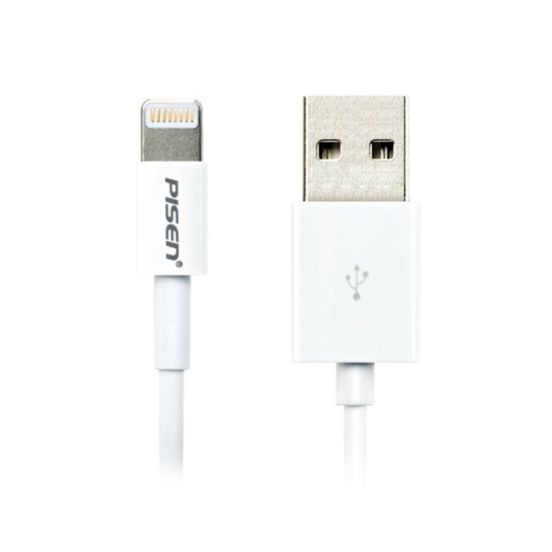 Cable USB Lightning 1m pour iPhone 6/6S, 6 Plus/6S Plus, 5/5S, 5C, iPad Mini, iPad 4, iPad Air, iPod Nano