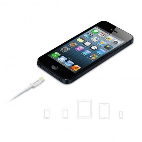 Cable USB Lightning 1m pour iPhone 6/6S, 6 Plus/6S Plus, 5/5S, 5C, iPad Mini, iPad 4, iPad Air, iPod Nano Cable USB Lightning 1m pour iPhone 6/6S, 6 Plus/6S Plus, 5/5S, 5C, iPad Mini, iPad 4, iPad Air, iPod Nano