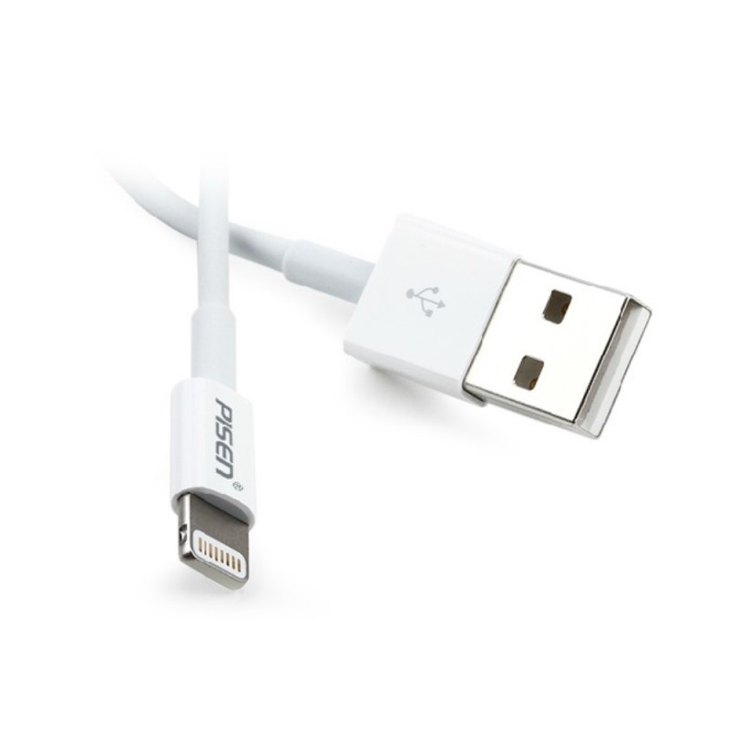 Cable USB Lightning 1m pour iPhone 6/6S, 6 Plus/6S Plus, 5/5S, 5C, iPad Mini, iPad 4, iPad Air, iPod Nano