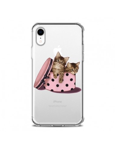 Coque iPhone XR Chaton Chat Kitten Boite Pois Transparente souple - Maryline Cazenave