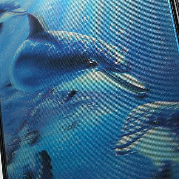 coque iphone 4 dauphin coque iphone 4 dauphin