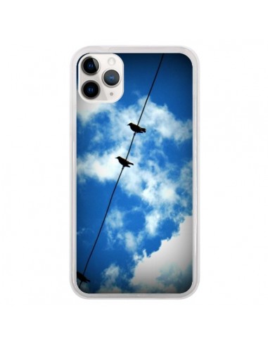 Coque iPhone 11 Pro Oiseau Birds - R Delean