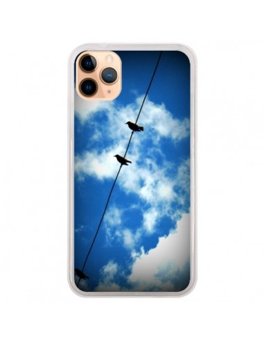 Coque iPhone 11 Pro Max Oiseau Birds - R Delean