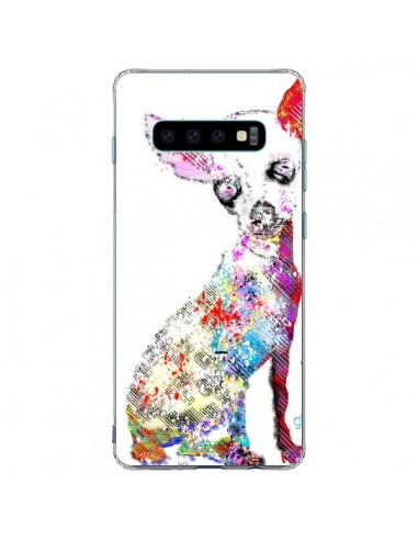 Coque Samsung S10 Plus Chien Chihuahua Graffiti - Bri.Buckley