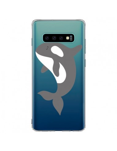 Coque Samsung S10 Plus Orque Orca Ocean Transparente - Petit Griffin