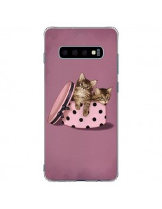 Coque Samsung S10 Plus Chaton Chat Kitten Boite Pois -...