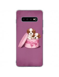 Coque Samsung S10 Plus Chien Dog Boite Noeud - Maryline...