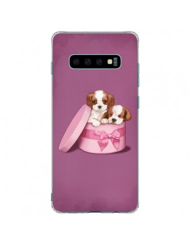 Coque Samsung S10 Plus Chien Dog Boite Noeud - Maryline Cazenave