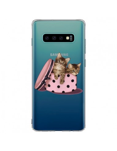 Coque Samsung S10 Plus Chaton Chat Kitten Boite Pois Transparente - Maryline Cazenave