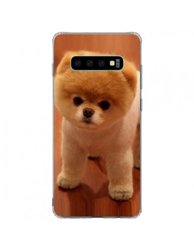 Coque Samsung S10 Plus Boo Le Chien - Nico