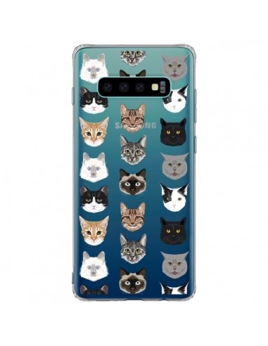 Coque Samsung S10 Plus Chats Transparente - Pet Friendly